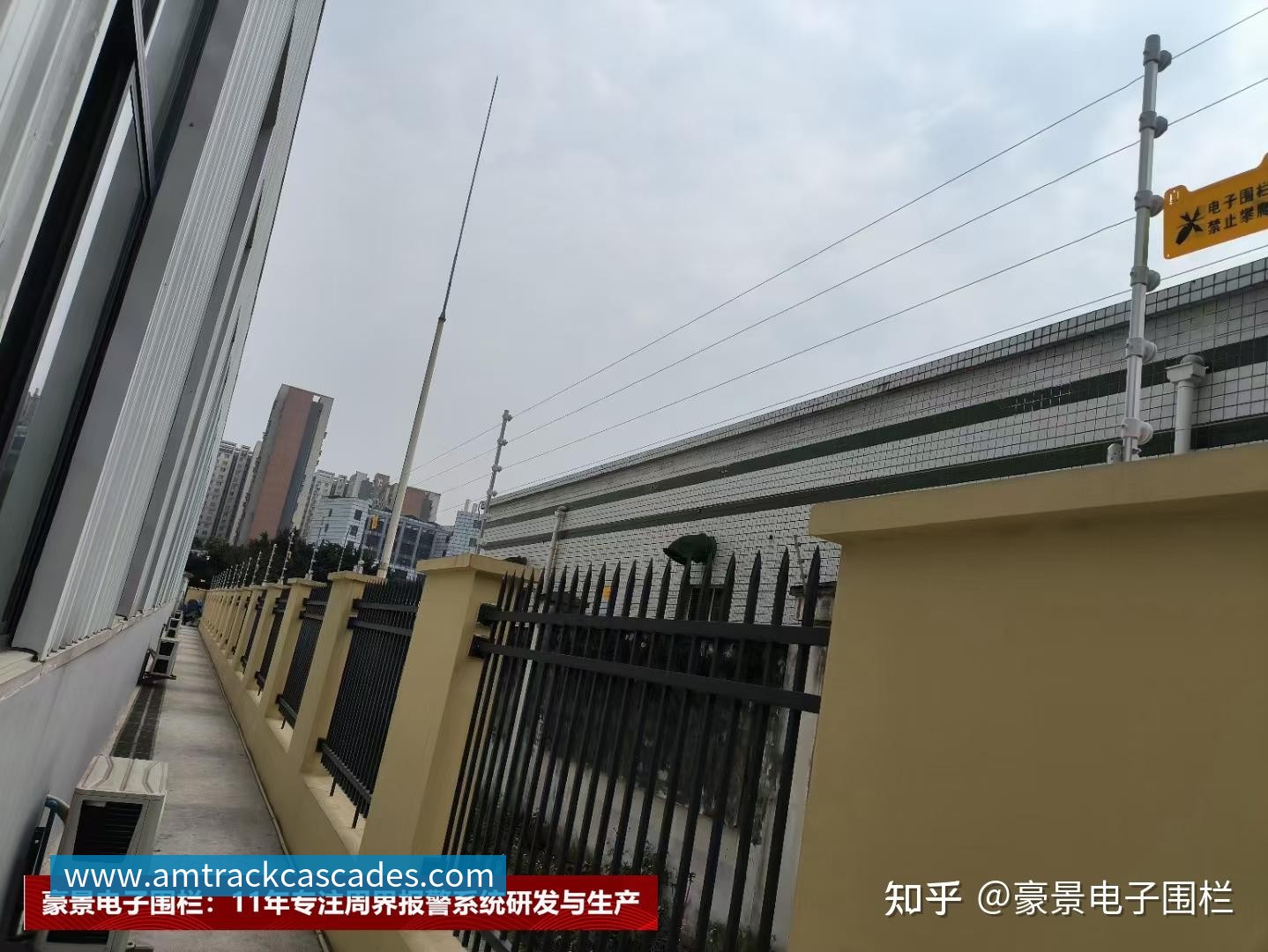詹姆斯分享人生智慧:面对批评勇往直前才能成就卓越与自我价值